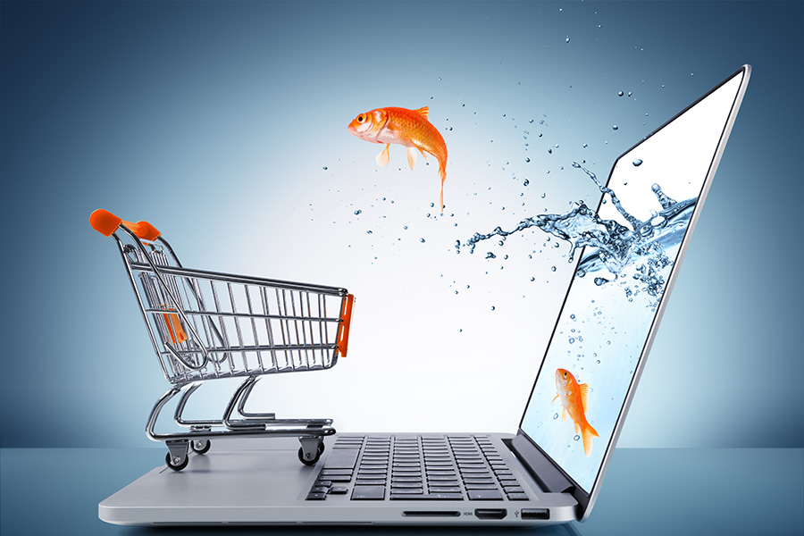 e-commerce-consommateur